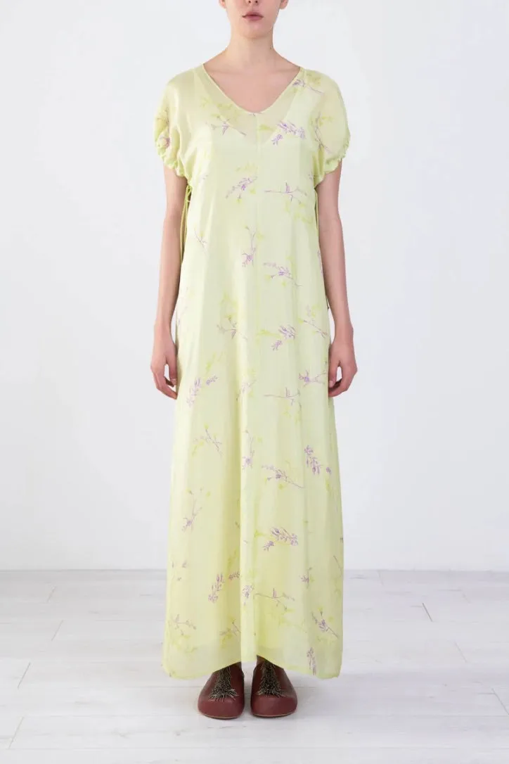 Alysi Creme - Maxi Bouquet Dress: Pistachio