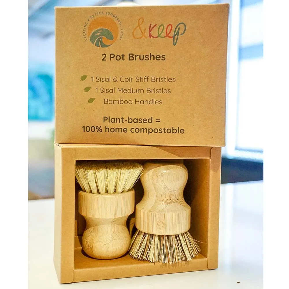 Box of 2 &Keep Pot Brushes - Medium & Stiff