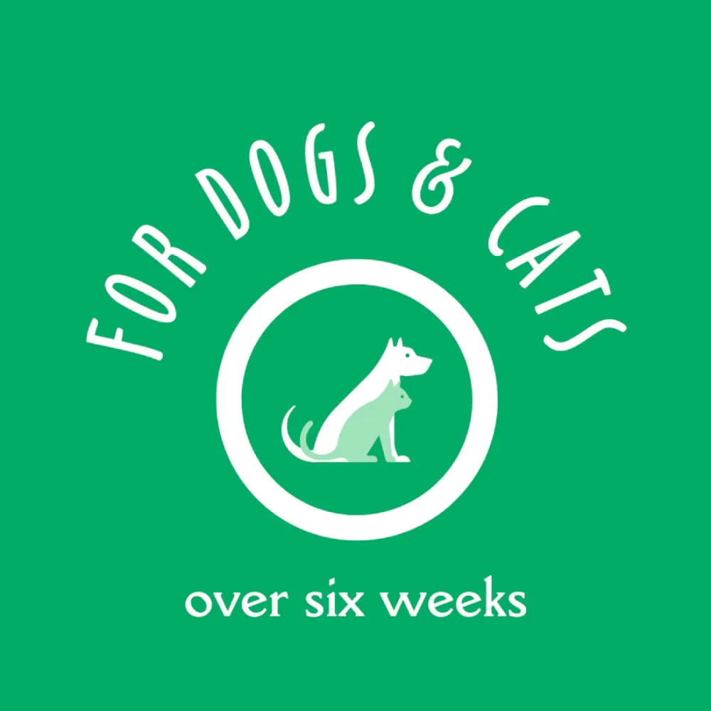 EarthBath Shed Control Green Tea & Awapuhi Shampoo for Dogs and Cats