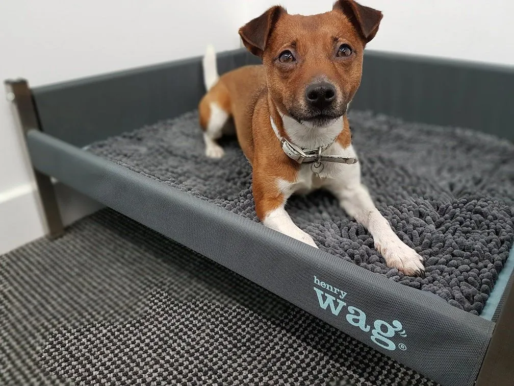 Henry Wag Microfibre Noodle Pet Mat