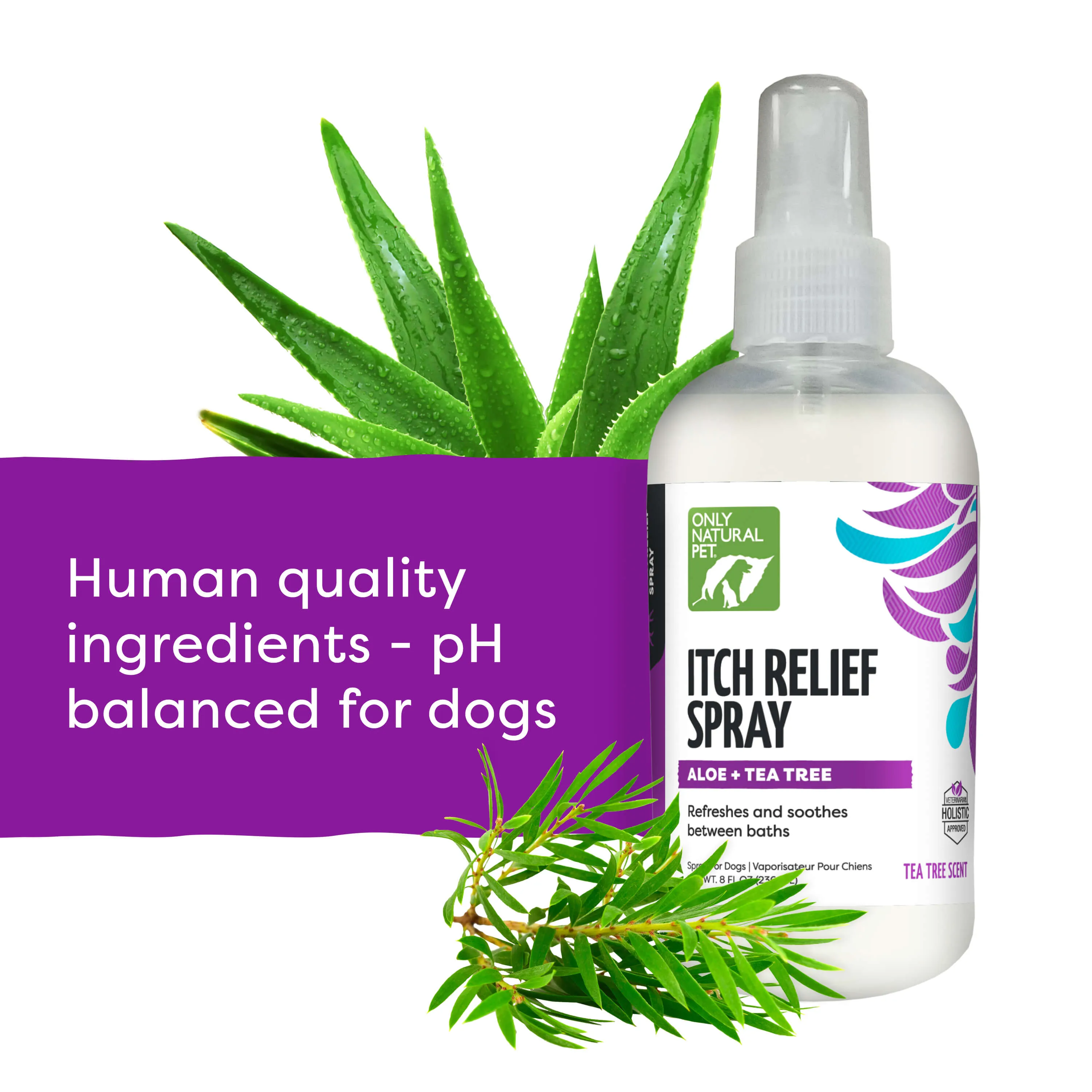 Only Natural Pet Itch Relief Spray with Aloe   Tea Tree for Dogs