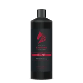 Pro Groom Maintain Shampoo