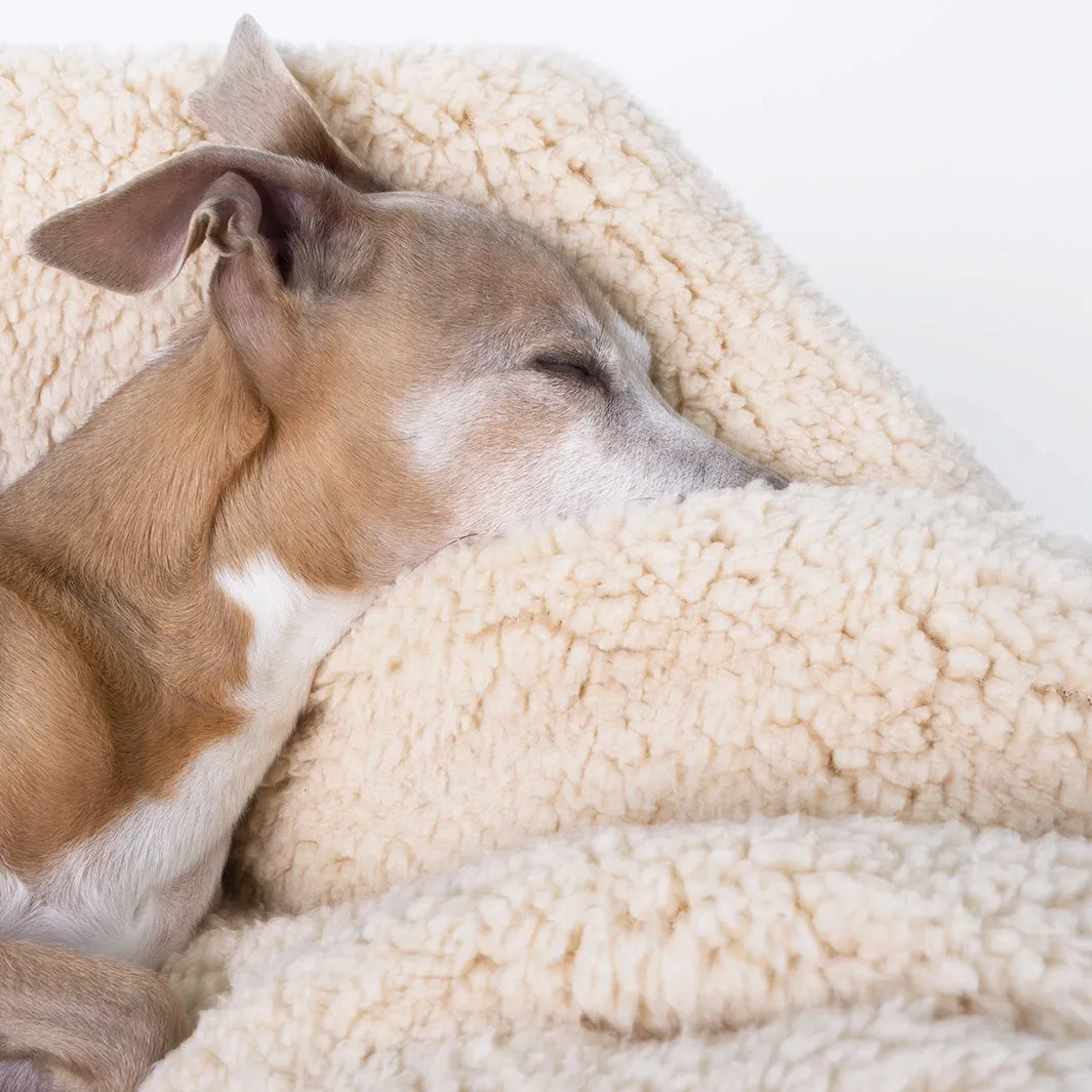 Sherpa Fleece Dog Blanket