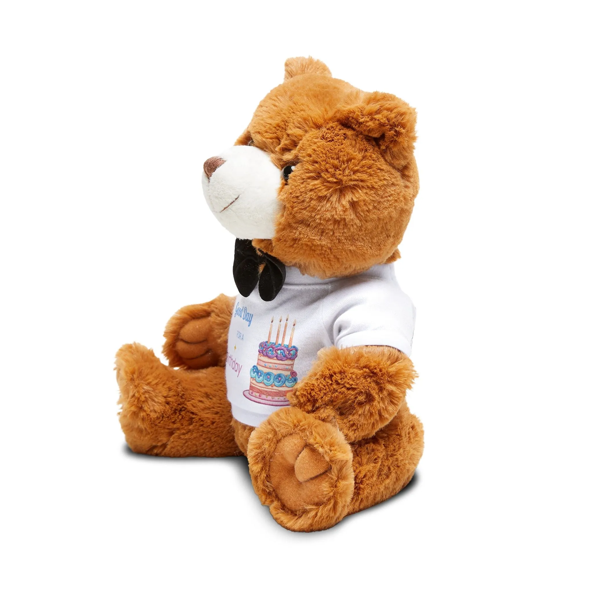 Teddy Bear with Birthday T-Shirt