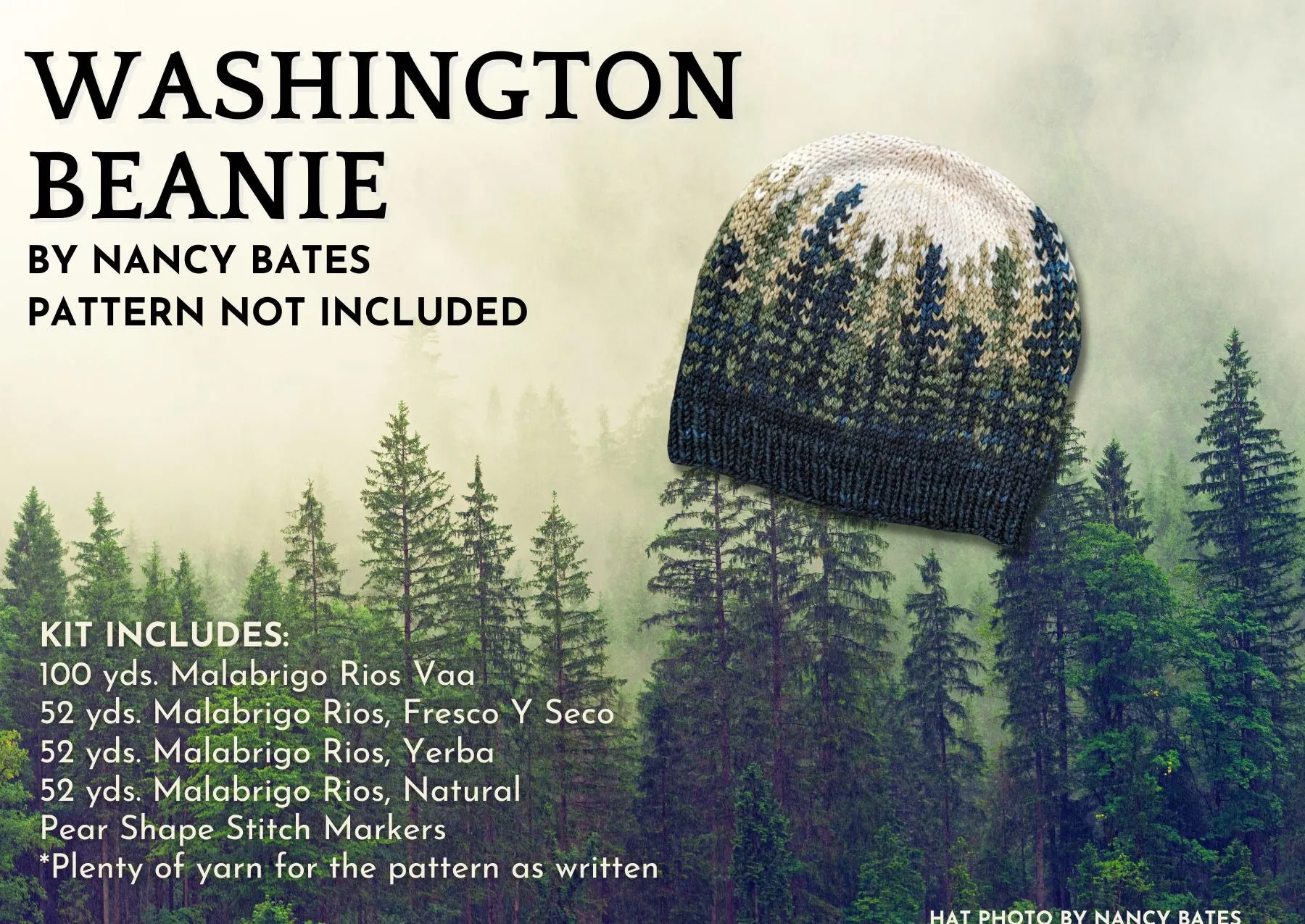 Washington Beanie Yarn Knitting Kit by Nancy Bates